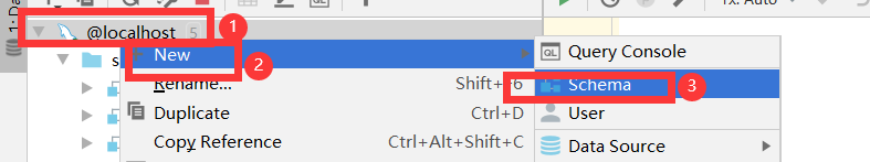 introspect schema datagrip