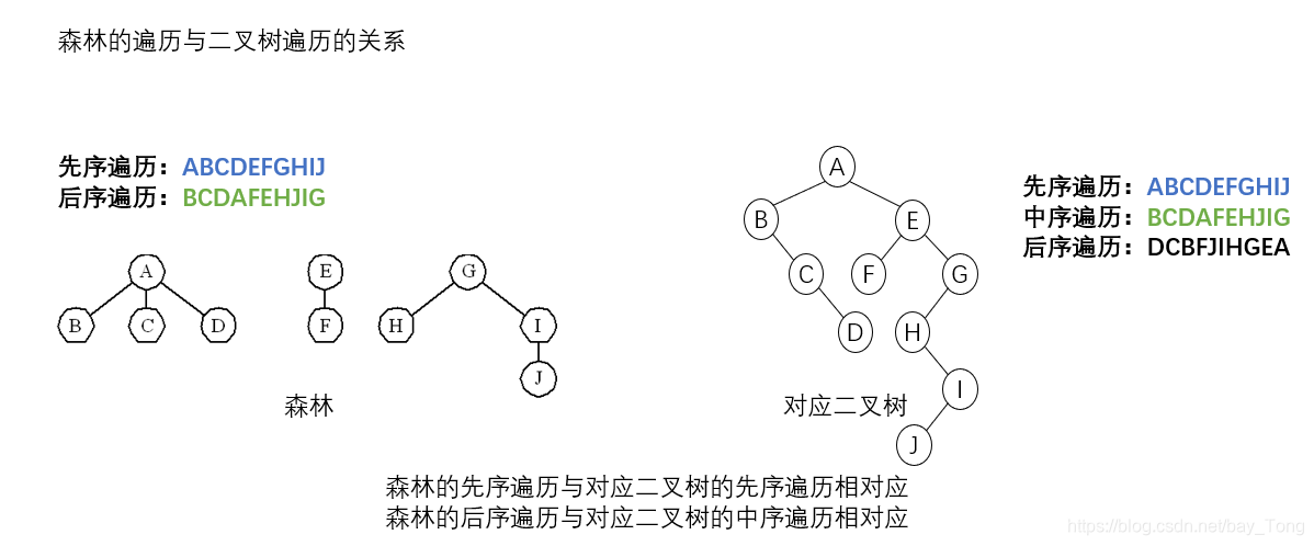 森林遍历与二叉树遍历的关系描述