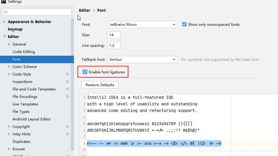 IDEA JetBrains Mono 字体安装配置（Windows）