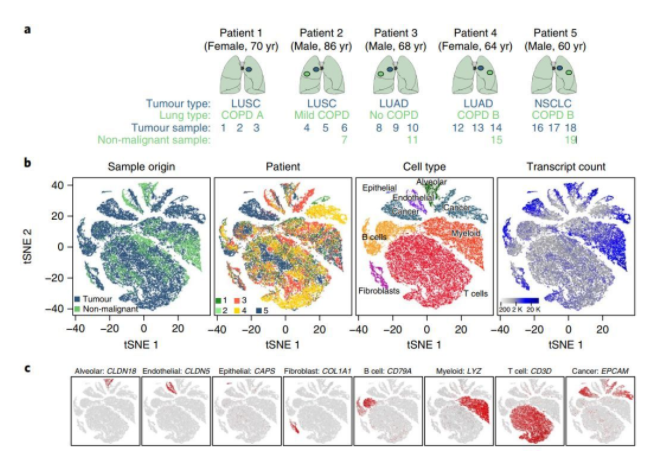 单细胞转录组：Smart-seq 2还是10X Genomics Chromium?-CSDN博客