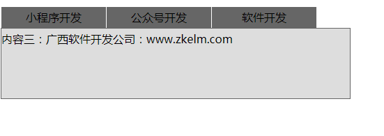 南宁软件开发公司：www.zkelm.com