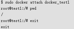 root@test1:/# pwd/root@test1:/# exitexit