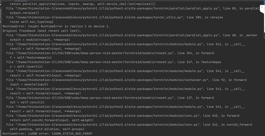 【Pytorch】import torchvision 报错 RuntimeError：builtin cannot be used as a