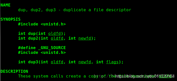 Dup Programming 高级I/O模型(2)--dup/dup2_dup模型-CSDN博客