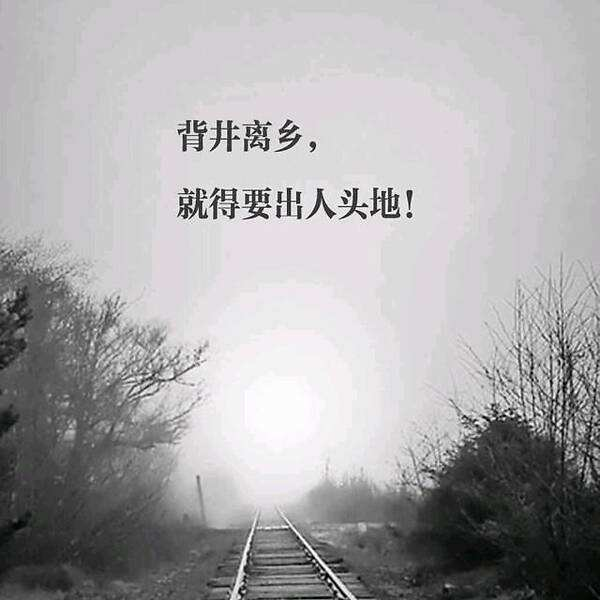 我在ImapBox的第1024篇文章Alex-