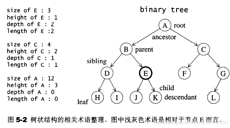 种树：二叉树、二叉搜索树、AVL树、红黑树、哈夫曼树、B树、树与森林看，未来的博客-