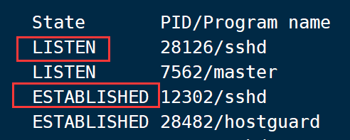 【linux】循序渐进学运维-基础篇-netstat命令详解高胜寒-