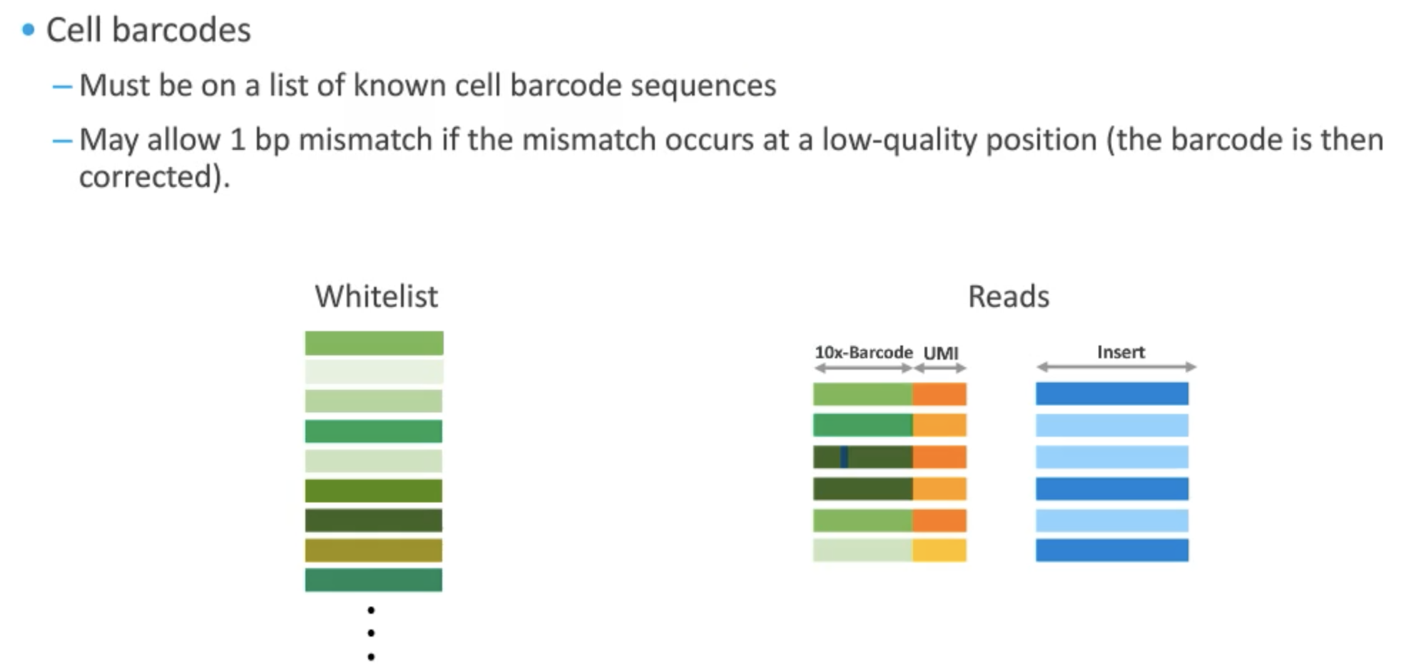 Cell Ranger_cellranger 怎么提取barcode-CSDN博客