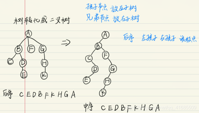 树转化成二叉树示例