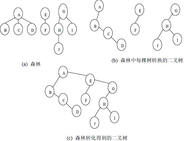 种树：二叉树、二叉搜索树、AVL树、红黑树、哈夫曼树、B树、树与森林看，未来的博客-