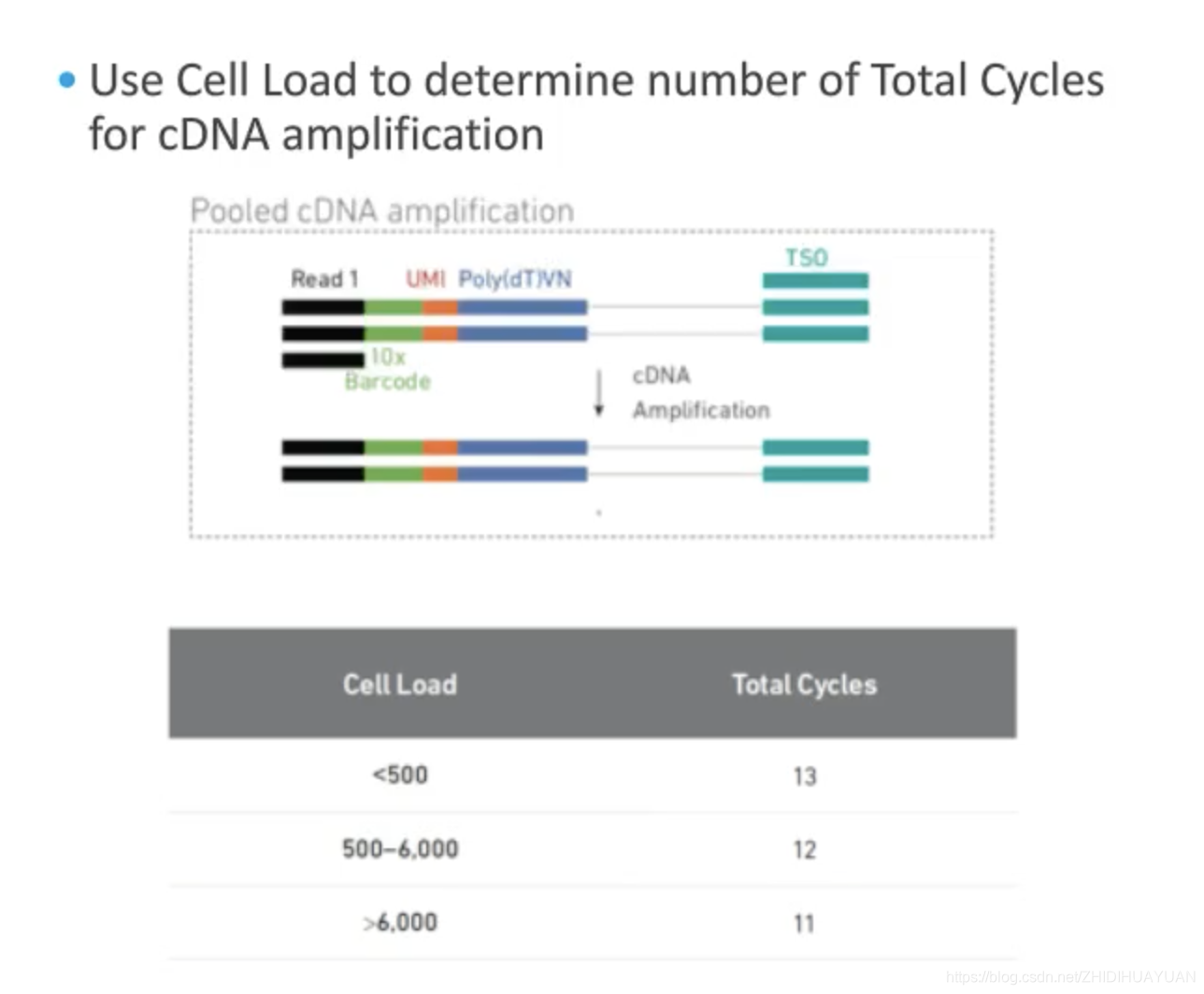 Cell Ranger_cellranger 怎么提取barcode-CSDN博客