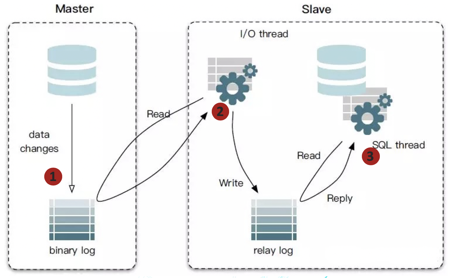 Mysql чтение. Mysql чтение