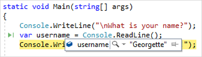 在Visual Studio中进行调试时的变量值