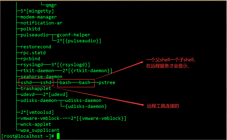 Shell基础 Bash变量 环境变量 图文详细 熬夜泡枸杞的博客 Csdn博客 Bash定义环境变量