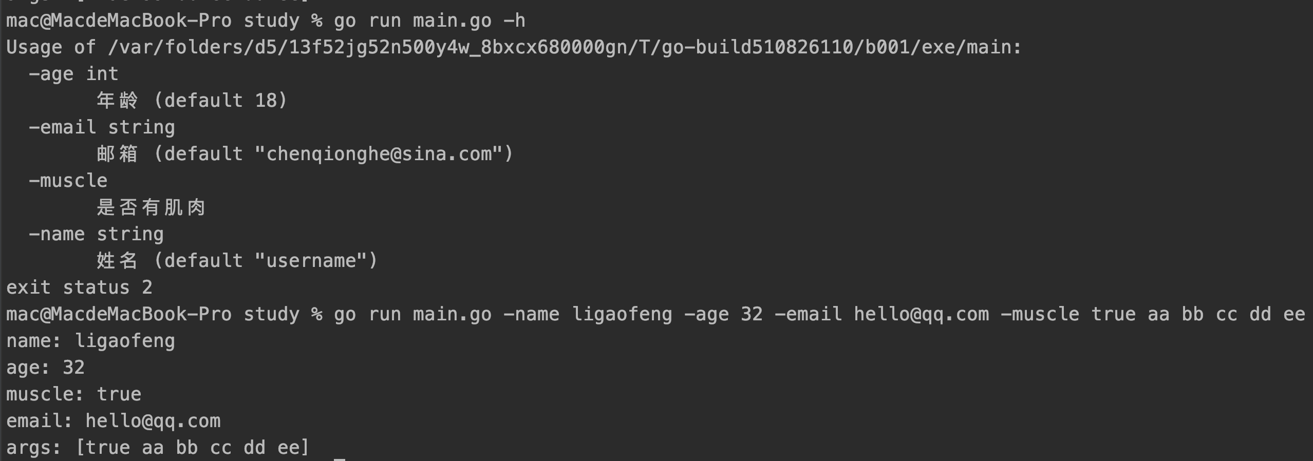 golang标准库flag库网络样例之实操(二)_golang做项目用哪些网络库CSDN博客