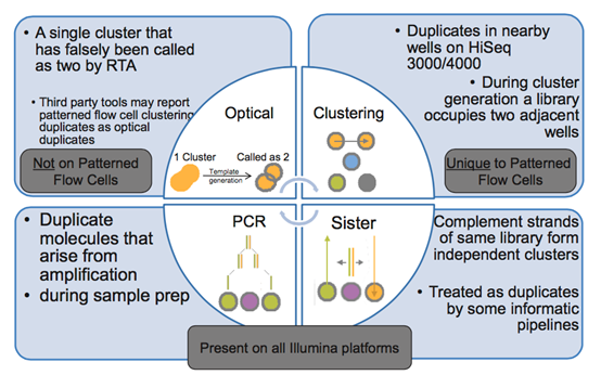 ngs测序结果中duplicate序列问题的理解