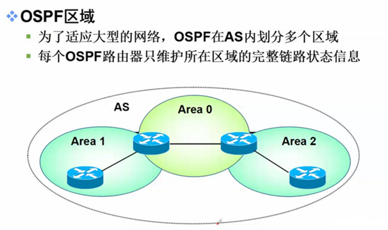 网络学习计划——【OSPF协议】_ospf是udp-CSDN博客