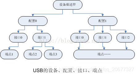 USB架构图