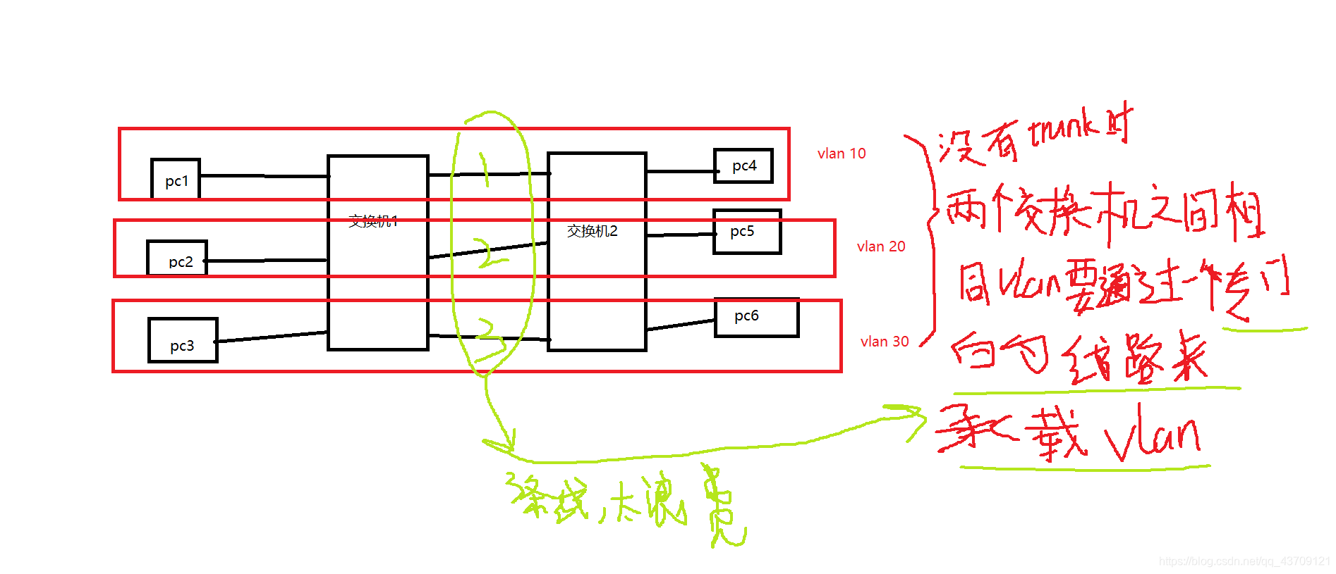 trunk背景