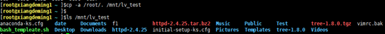 复制root下数据到lv_test中