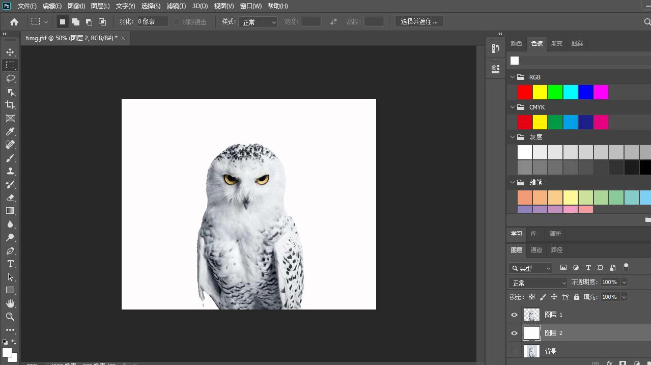手把手教你如何用PS抠白底图教程