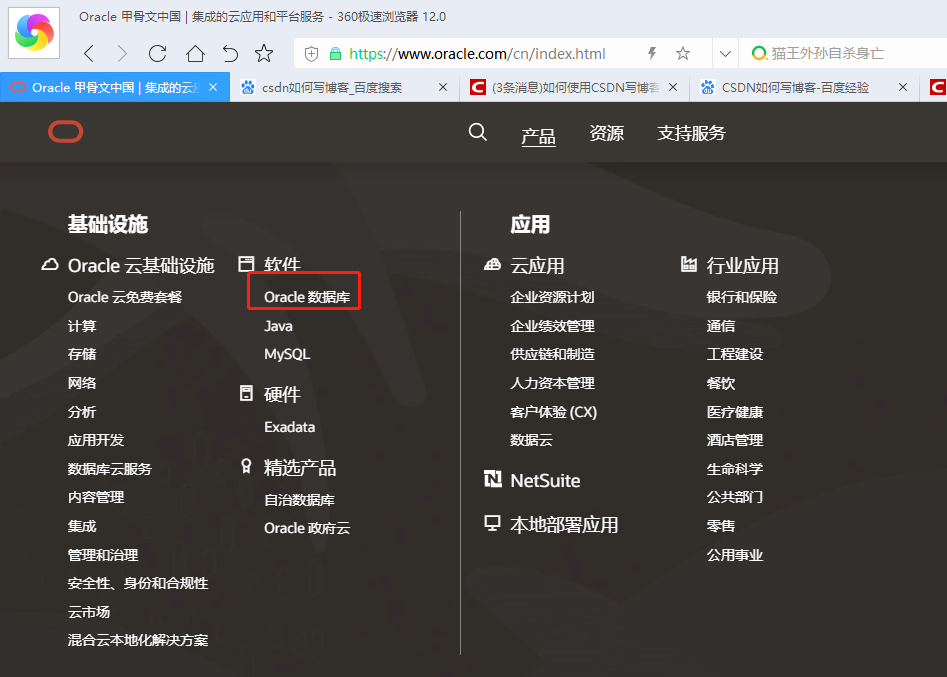 选择oracle数据库