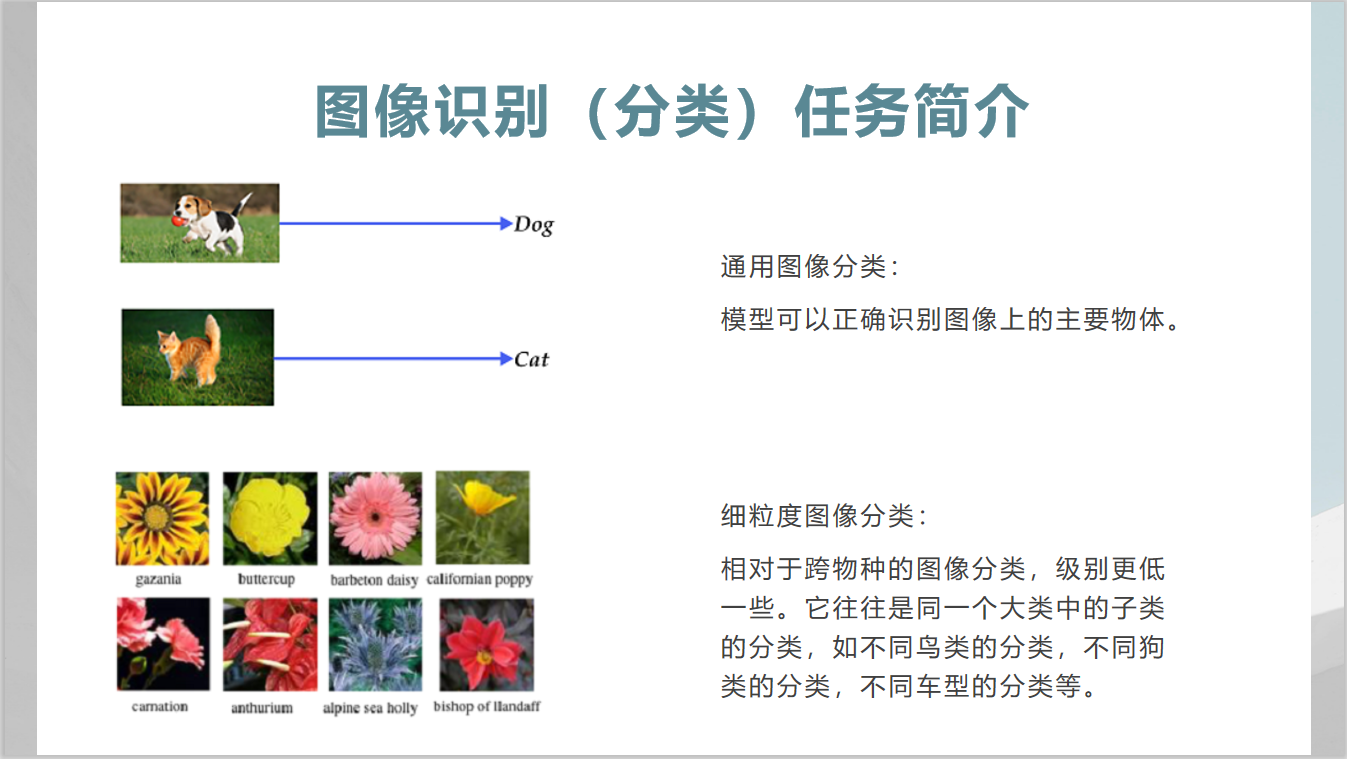 【深度学习小白教程】（一）图像分类算法入门_图形分类识别小白-CSDN博客