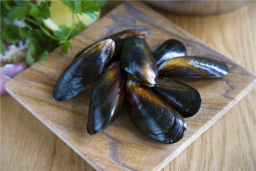 《海错图笔记》的笔记 |【介部】