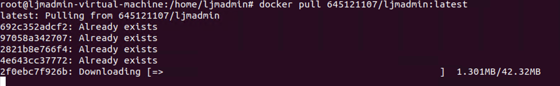 Ubuntu上安装使用Docker