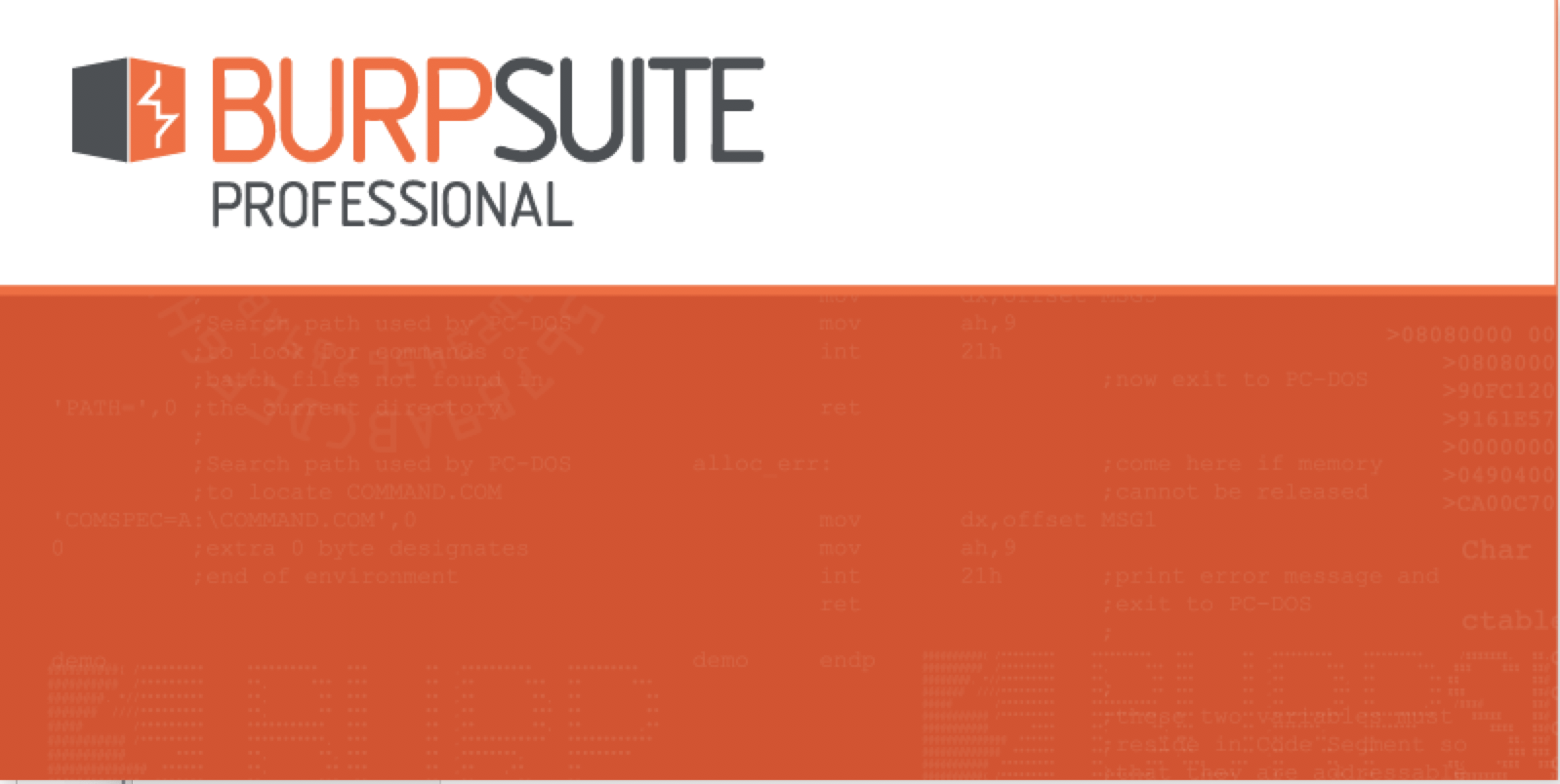 for mac download Burp Suite Professional 2023.10.2.3