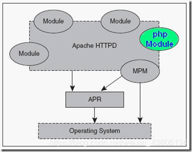 中间件的安全加固-----apache、nginx的安全配置_servertokens prod serversignature off-CSDN博客