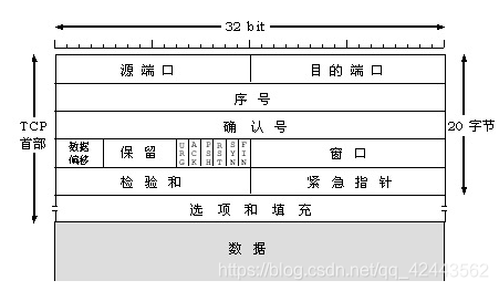 TCP报文格式