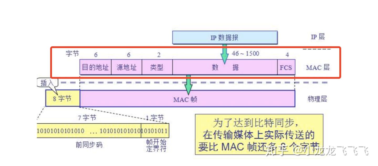 MAC首部 IP首部 TCP首部介绍-CSDN博客