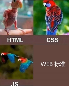 视频截图