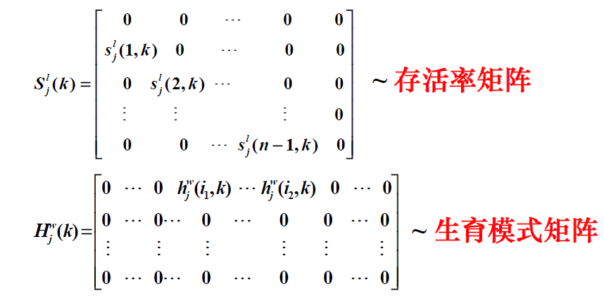 leslie人口预测模型_飞机模型图片