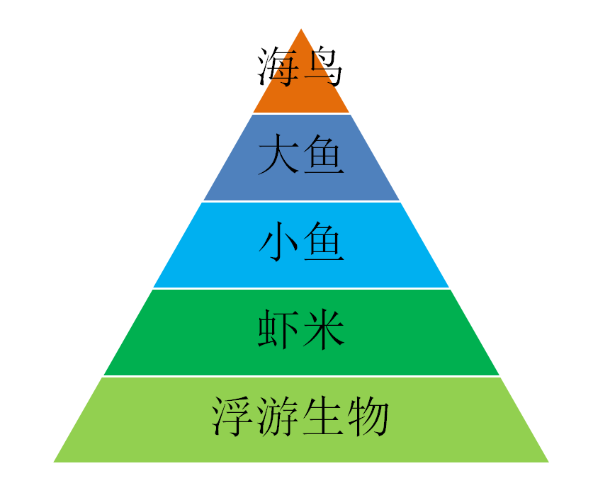 食物链富集效应