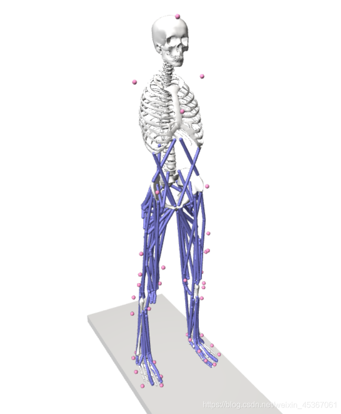 Opensim Inverse Kinematics OpenSim学习笔记(五):IK的原理和操作_opensim逆动力学原理-CSDN博客