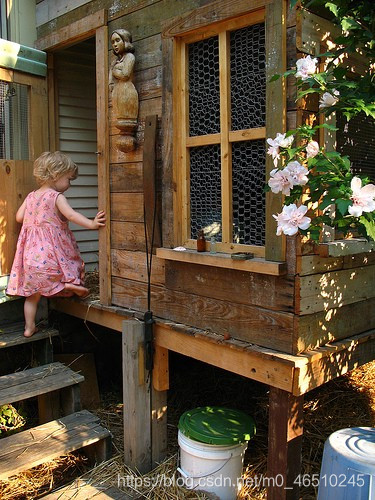 使用神经网络为图像生成标题deephub-image = loadimg(frame, targetsize=(figureshape,