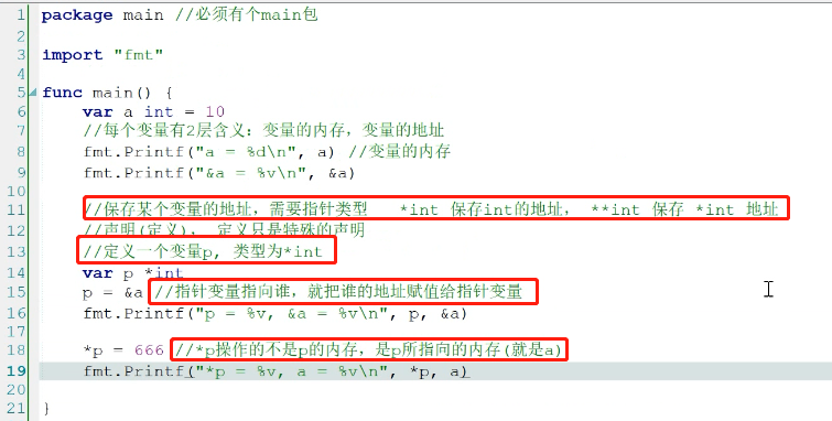 指针变量的基本使用