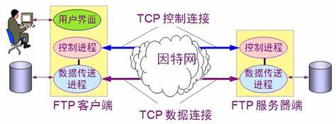 FTP使用的两个TCP连接