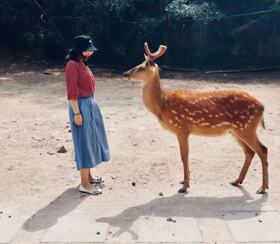 Lili en Badaling Wildlife Park en junio de 2019 