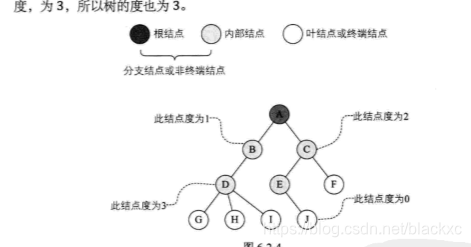 树的度实例图