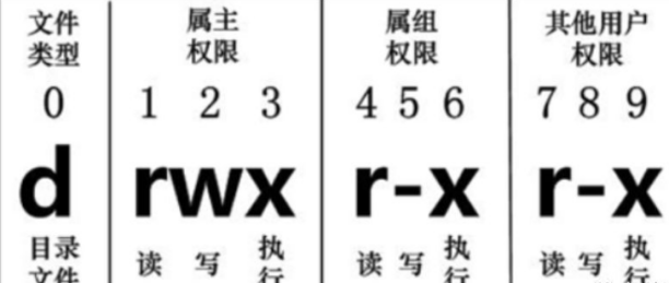 Linux系列第二谈（开机关机、Linux中的文件、目录管理、基本属性）爱上java的小游子-