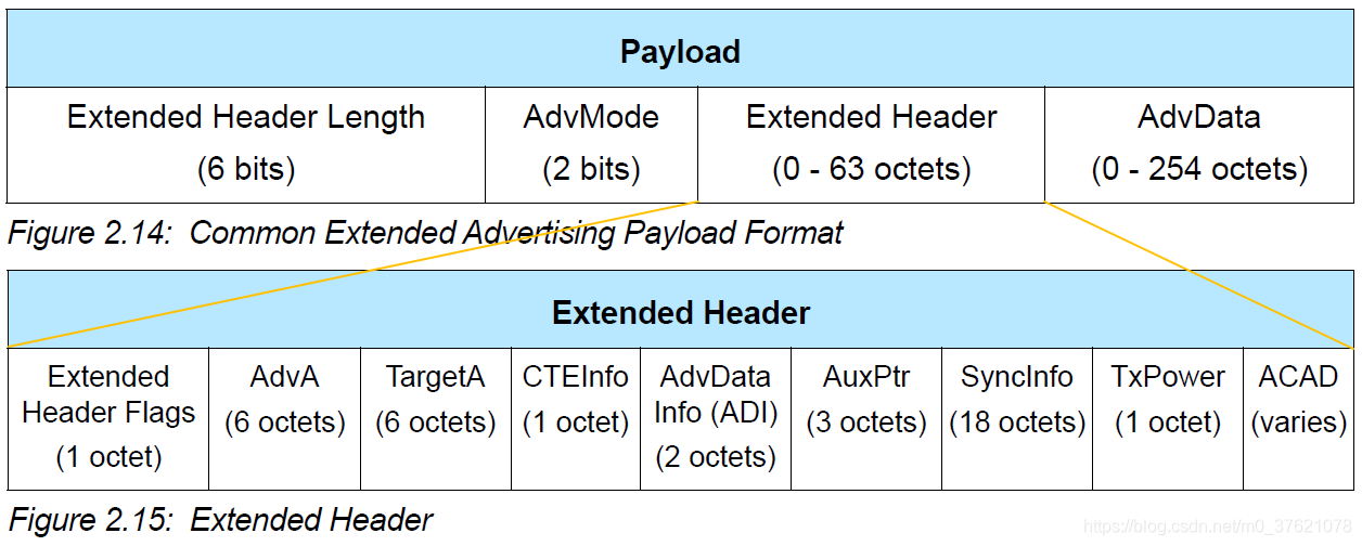 Common Extended Advertising Payload Format