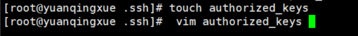 vim authorized