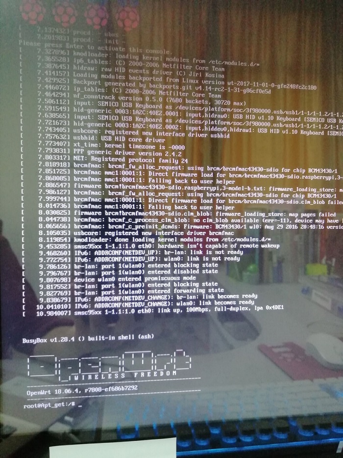 图四 OpenWrt启动页面