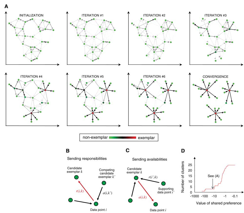 【论文翻译】Clustering By Passing Messages Between Data Points-CSDN博客