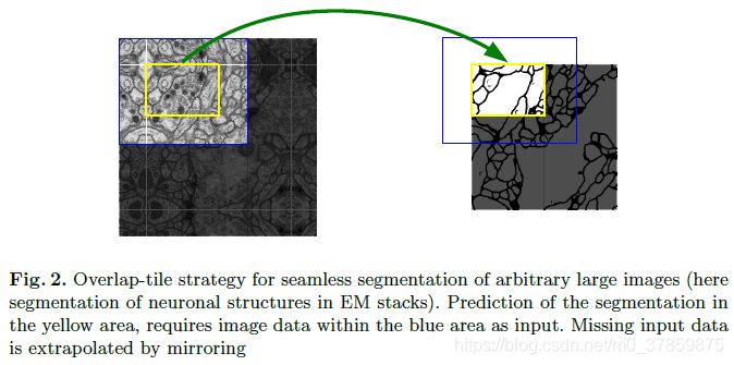 U-Net: Convolutional Networks for Biomedical Image Segmentation ...