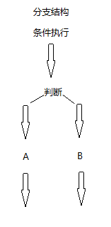 分支结构的执行过程