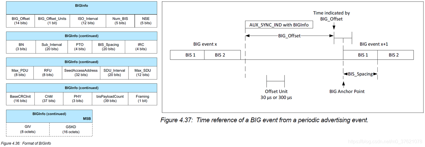 Format of BIGInfo